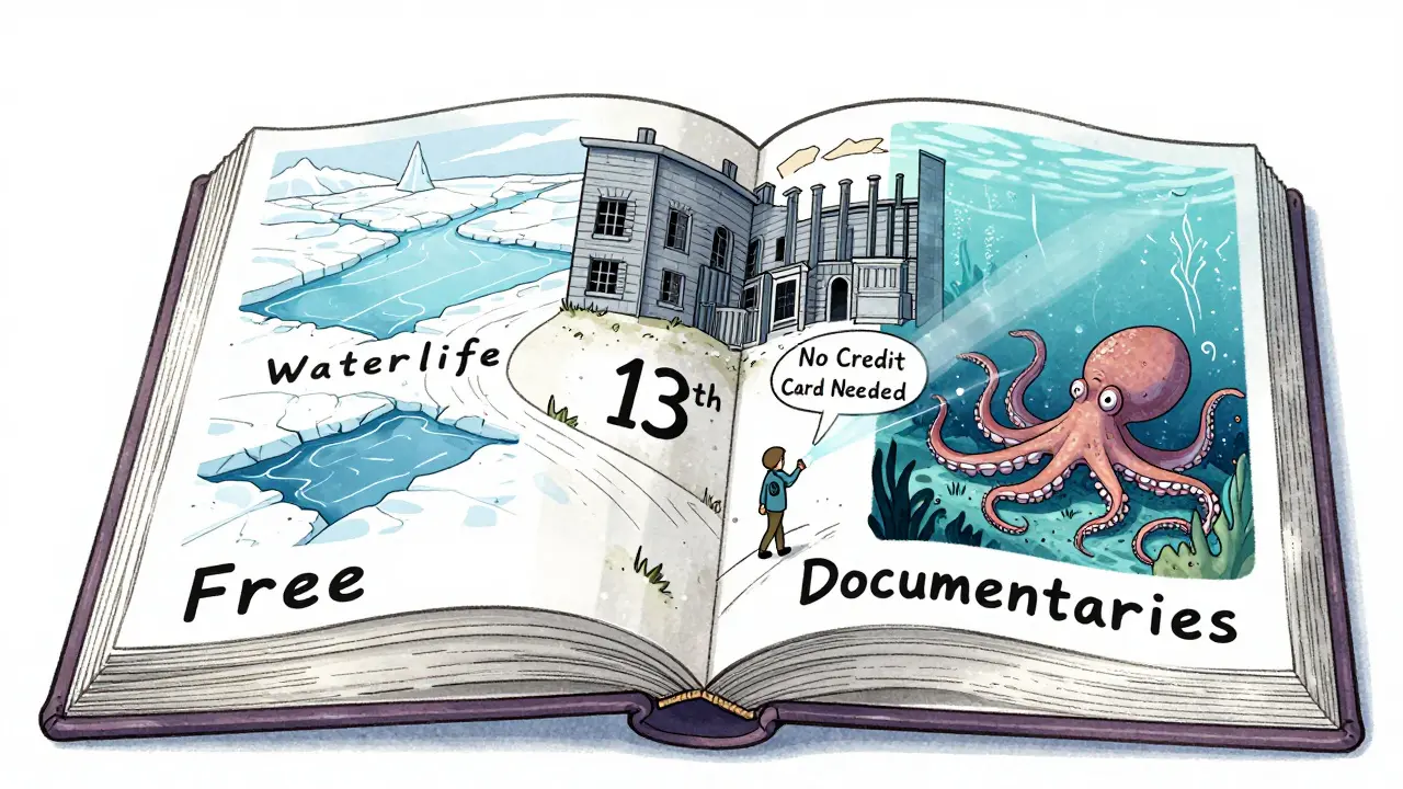 A person walking through a magical book whose pages turn into documentary scenes like oceans and prisons.